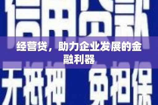 图们经营贷，助力企业发展的金融利器