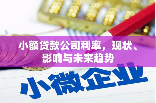 图们小额贷款公司利率，现状、影响与未来趋势