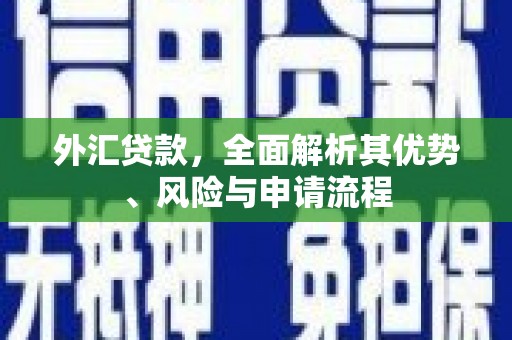 图们外汇贷款，全面解析其优势、风险与申请流程