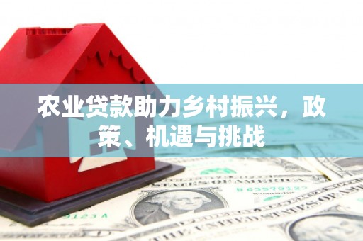 图们农业贷款助力乡村振兴，政策、机遇与挑战