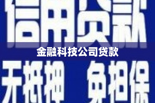 图们金融科技公司贷款
