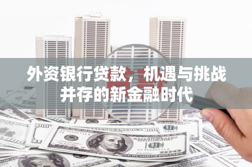 图们外资银行贷款，机遇与挑战并存的新金融时代