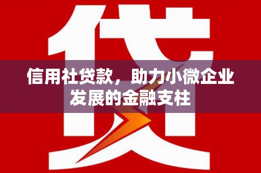 图们信用社贷款，助力小微企业发展的金融支柱