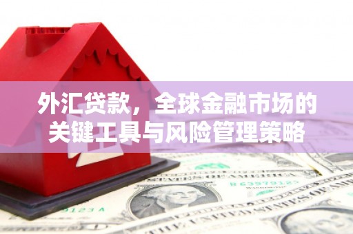 图们外汇贷款，全球金融市场的关键工具与风险管理策略