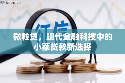 图们微粒贷，现代金融科技中的小额贷款新选择