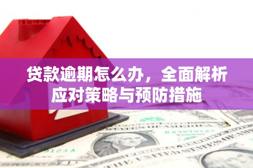图们贷款逾期怎么办，全面解析应对策略与预防措施