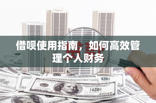 图们借呗使用指南，如何高效管理个人财务