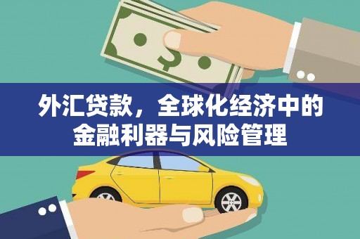 图们外汇贷款，全球化经济中的金融利器与风险管理