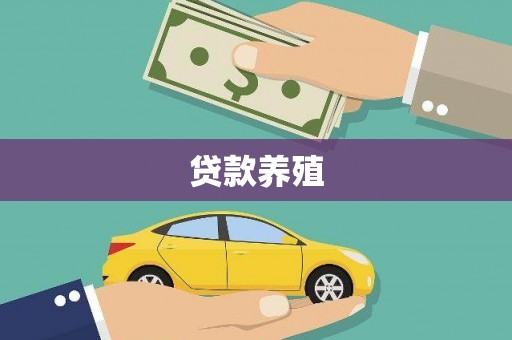 图们贷款养殖