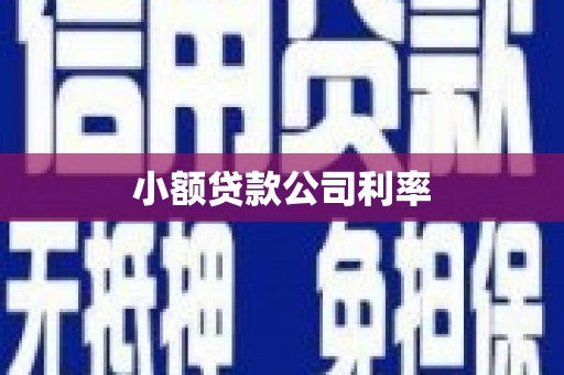 图们小额贷款公司利率