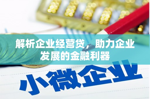 图们解析企业经营贷，助力企业发展的金融利器