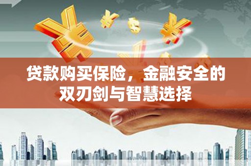 图们贷款购买保险，金融安全的双刃剑与智慧选择