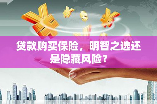 图们贷款购买保险，明智之选还是隐藏风险？