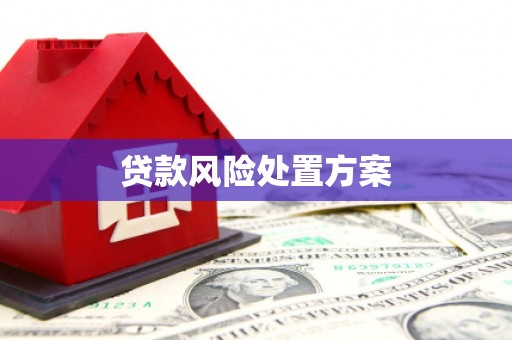图们贷款风险处置方案