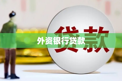 图们外资银行贷款