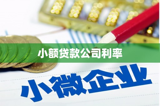图们小额贷款公司利率