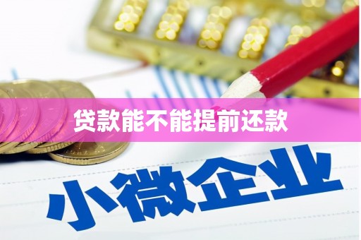 图们贷款能不能提前还款