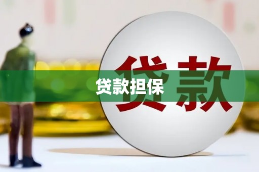 图们贷款担保