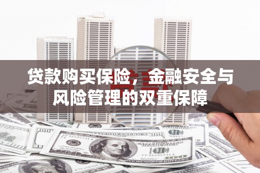 图们贷款购买保险，金融安全与风险管理的双重保障