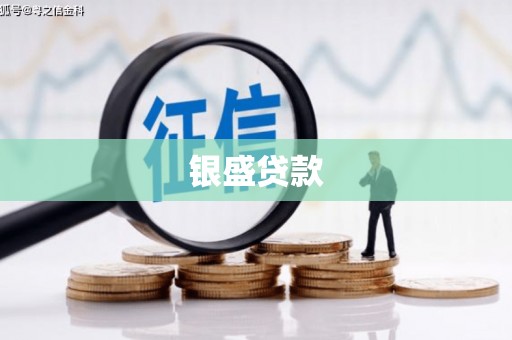 图们银盛贷款