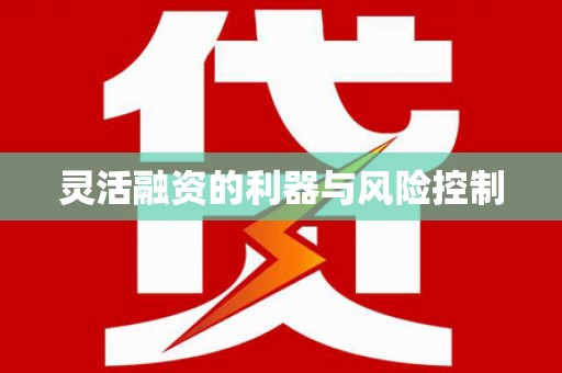 图们灵活融资的利器与风险控制
