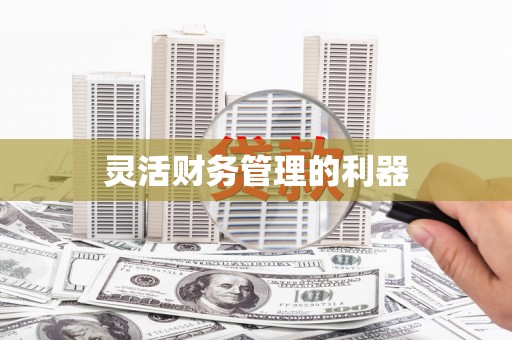 图们灵活财务管理的利器