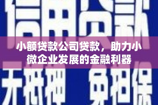 图们小额贷款公司贷款，助力小微企业发展的金融利器