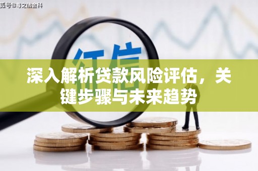 图们深入解析贷款风险评估，关键步骤与未来趋势