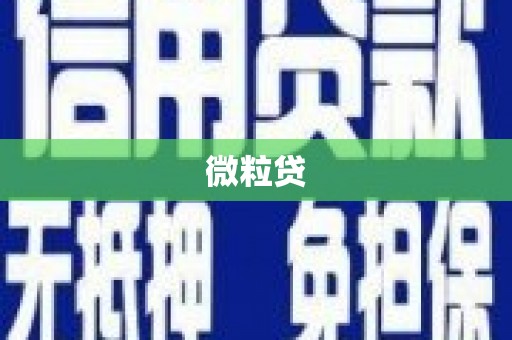 图们微粒贷