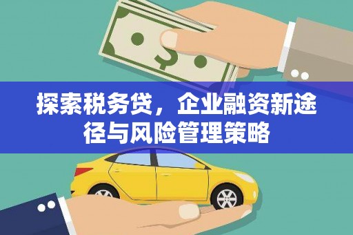 图们探索税务贷，企业融资新途径与风险管理策略