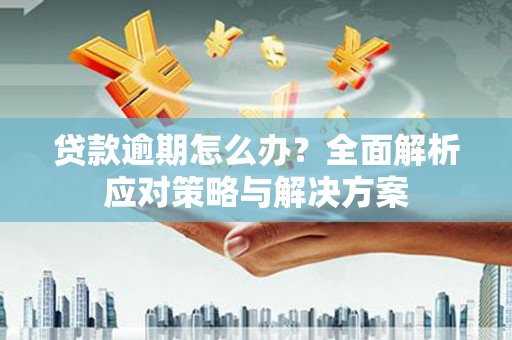 图们贷款逾期怎么办？全面解析应对策略与解决方案