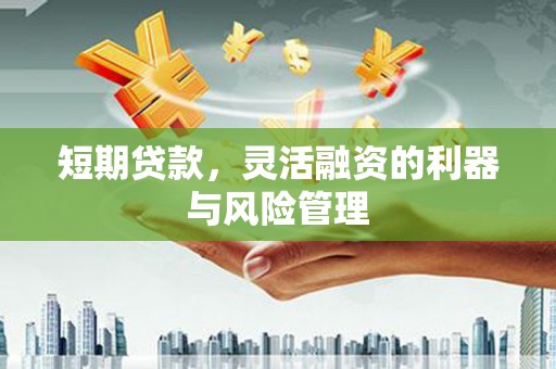 图们短期贷款，灵活融资的利器与风险管理
