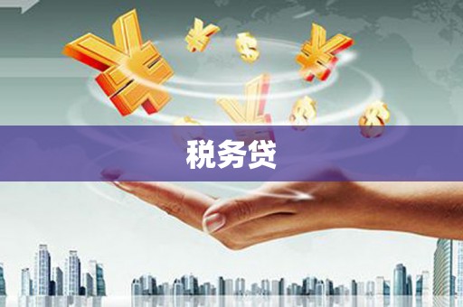 图们税务贷