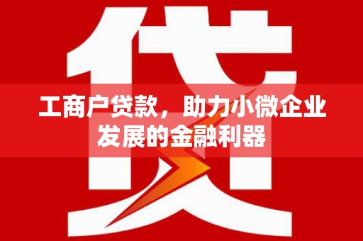 图们工商户贷款，助力小微企业发展的金融利器