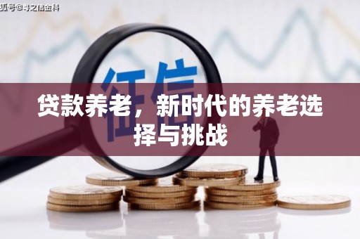 图们贷款养老，新时代的养老选择与挑战