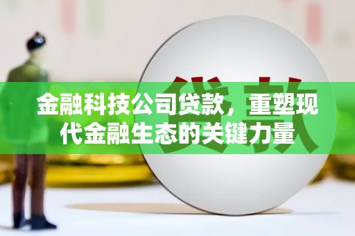 图们金融科技公司贷款，重塑现代金融生态的关键力量
