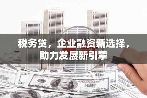 图们税务贷，企业融资新选择，助力发展新引擎