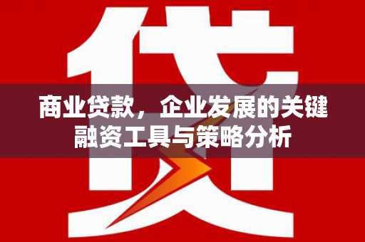 图们商业贷款，企业发展的关键融资工具与策略分析