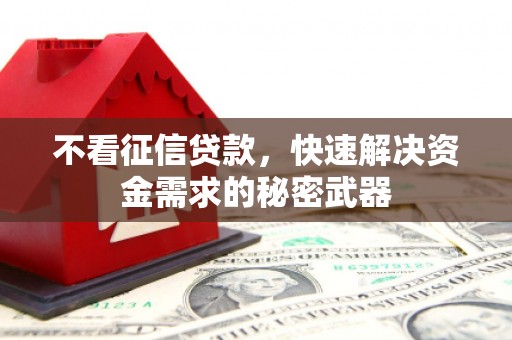 图们不看征信贷款，快速解决资金需求的秘密武器
