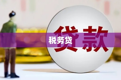 图们税务贷