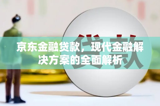 图们京东金融贷款，现代金融解决方案的全面解析