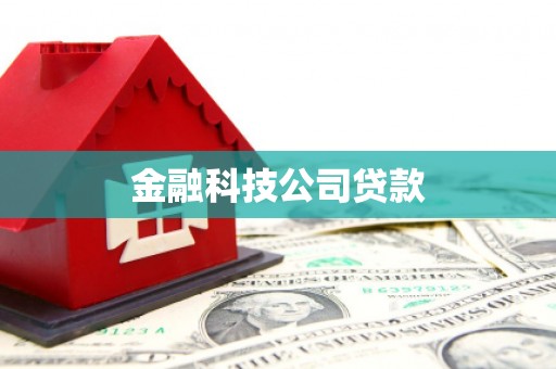 图们金融科技公司贷款