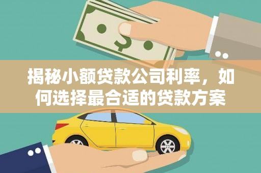 图们揭秘小额贷款公司利率，如何选择最合适的贷款方案