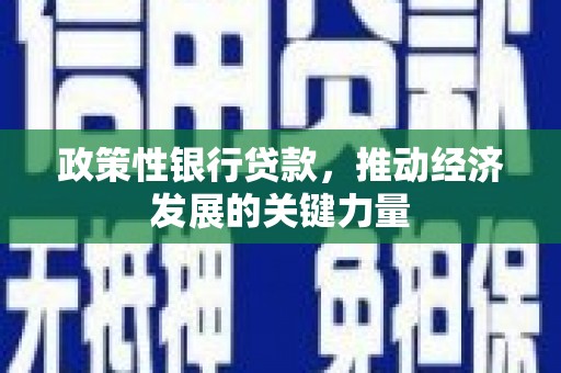 图们政策性银行贷款，推动经济发展的关键力量