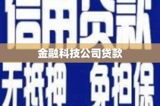 图们金融科技公司贷款