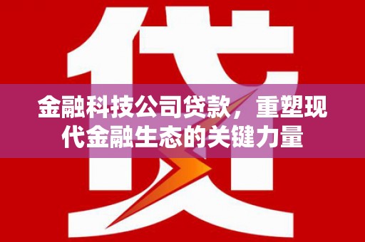图们金融科技公司贷款，重塑现代金融生态的关键力量