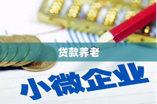 图们贷款养老
