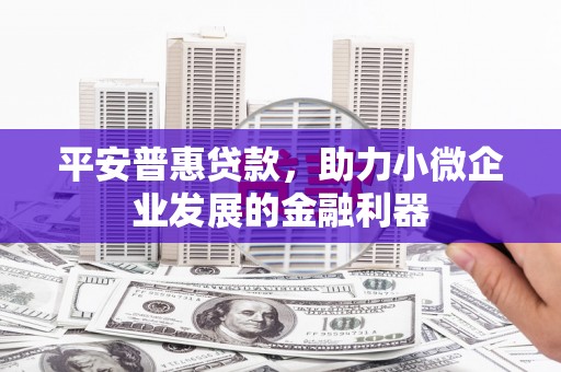 图们平安普惠贷款，助力小微企业发展的金融利器