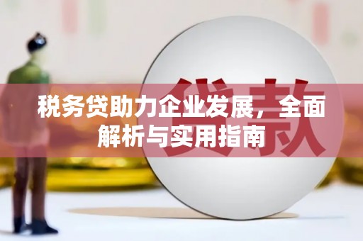 图们税务贷助力企业发展，全面解析与实用指南