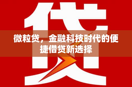 图们微粒贷，金融科技时代的便捷借贷新选择
